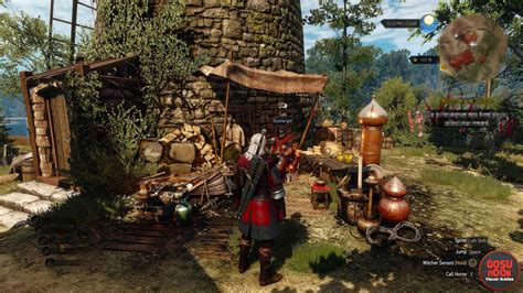 runewright witcher 3|The Witcher 3 .